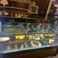 یخچال صنعتی شو کیک