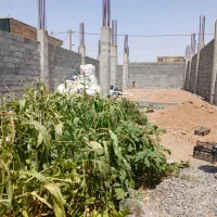 زمین-مسکونی-275-متر-اسدآباد-مبارکه