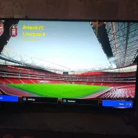 دنبال همخانه