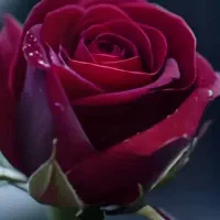 دعانویس حرفه ای معرفی کن