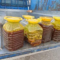 عسل کوه گندمکارغارون