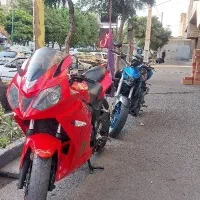 دایلیم ۲۵۰ ریس سنگین