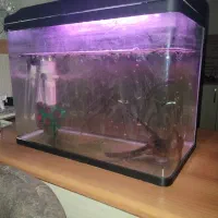 اکواریوم شیشه خم سالم با تمام تجهیزات