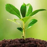 مسیر رهایی