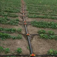 آبیاری قطره‌ای ویلا و مزارع