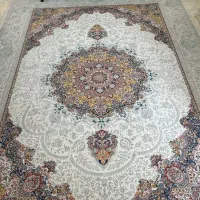 فرس ۹ متری درحد نو ۱۲۰۰ شانه