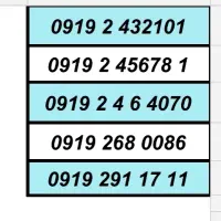 0919.338.8005|سیم‌کارت|شهریار, شهرک وائین|دیوار