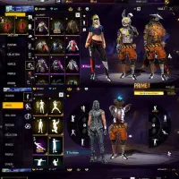 اکانت فری فروشی