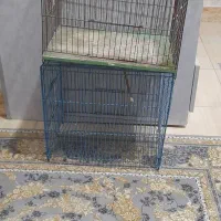 قفس مرغ عشق|لوازم جانبی حیوانات|رشت, ولکس|دیوار