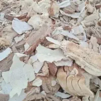 نان خشک