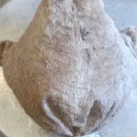 رب انار  عسل کوهی  خیگ  روغن