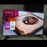 ال ادی ۴۳ الجی