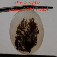 حراجی شجر شماره دو|جواهرات|زنجان, |دیوار