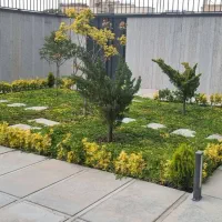 استخدام ادمین اینستاگرام