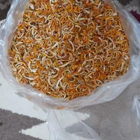 خلال پوست پرتقال تازه