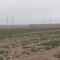 فروش ۲ هکتار در قلعه صدری که در قطعه های ۱۰۰۰متری|فروش دفتر صنعتی، کشاورزی، تجاری|قم, قلعه صدری|دیوار