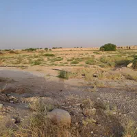 اجاره ۷هکتار زمین کشاورزی باچاه برقی