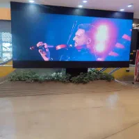 دونفر مسلط به تولید محتوا و مدیریت سوشال مدیا