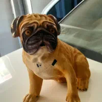 سگ پلی استرخارجی|اسباب‌بازی بچه|سنندج, |دیوار