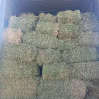 یونجه|عمده‌فروشی|مشهد, حرم مطهر رضوی|دیوار