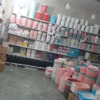 پلاسکوحراجی|ظروف نگهدارنده، پلاستیکی، یکبارمصرف|سنگان, |دیوار