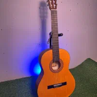 انواع گیتار های پارسی