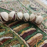 پسته شمارا به بالاترین قیمت خریداریم|خدمات باغبانی و درختکاری|تربت جام, یحیی آباد|دیوار