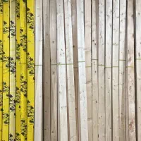 رگال ۱۰ تیله|فروشگاه و مغازه|تبریز, |دیوار