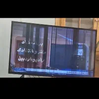 تلویزیون ال جی|تلویزیون و پروژکتور|اردبیل, |دیوار