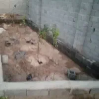 باغ 200 متری لب بلوار