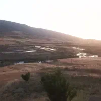 بوجاری گندم و جو در ایوان