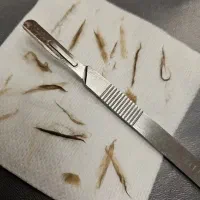 اصلاح درماپلینگ قیمت باورنکردنی|خدمات آرایشگری و زیبایی|بیرجند, |دیوار