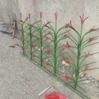 تولیدی بزرگ مشهد حفاظ