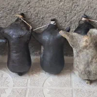 هیزه(دوتامونده)