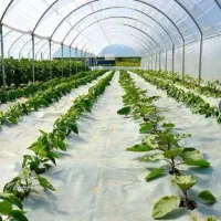 خرید نایلون کشاورزی با بهترین قیمت