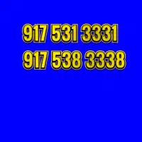 فروش سیم کارت 917.531.3331 کف قیمت بازار