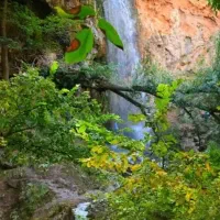 تور