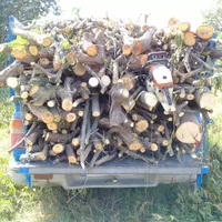 خریدار چوب درخت های باغی