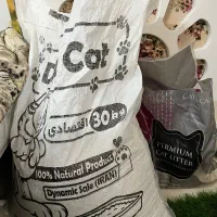 خاک گربه