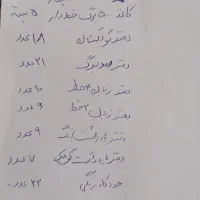 مقداری لوازم تحریر|لوازم التحریر|شیراز, شاه قلی بیگی|دیوار