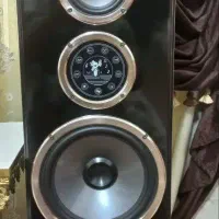 یک جفت باند بزرگ خانواده