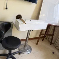 میز و صندلی استاد کار، ترولی میکاپ