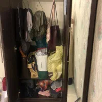 کمد ام دی اف|جاکفشی، کمد، دراور|تهران, مشیریه|دیوار