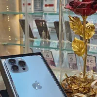 آیفون 13پرومکس