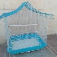 قفس