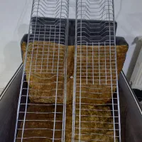 دو عدد آب چکان آشپزخانه