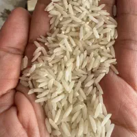 برنج طارم هاشمی و طارم محلی ارزانتر از هر جا|خوردنی و آشامیدنی|تهران, میرداماد|دیوار