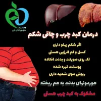 پک کبد چرب و چاقی شکم