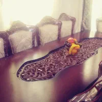 میز غذا خوری 10 نفره چوب راش اصل