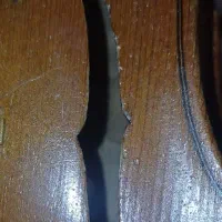 ویولن اشتاینر آلمانی|ویولن|لواسان, |دیوار